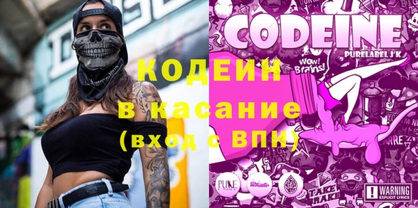 индика Алзамай