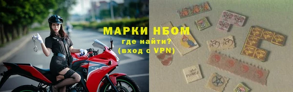 индика Алзамай