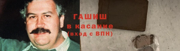индика Алзамай