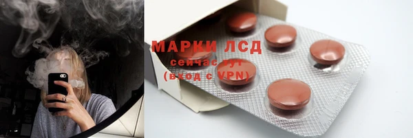 индика Алзамай