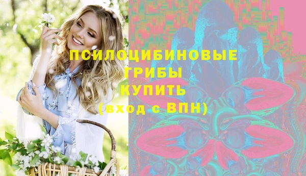 гидра Алексин