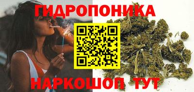 кокс Обь
