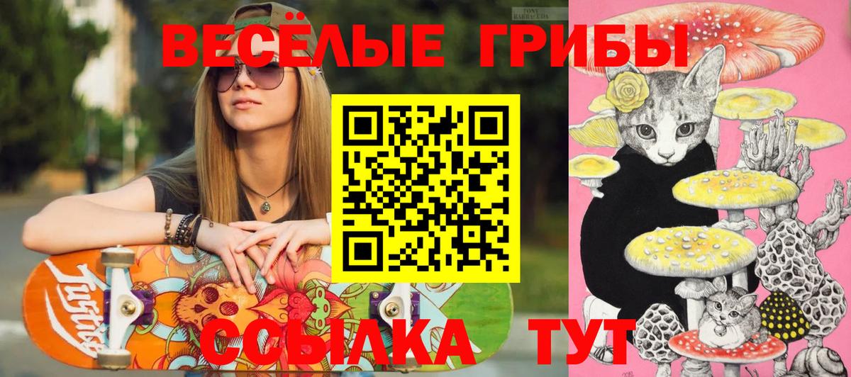 Галлюциногенные грибы Magic Shrooms Петровск